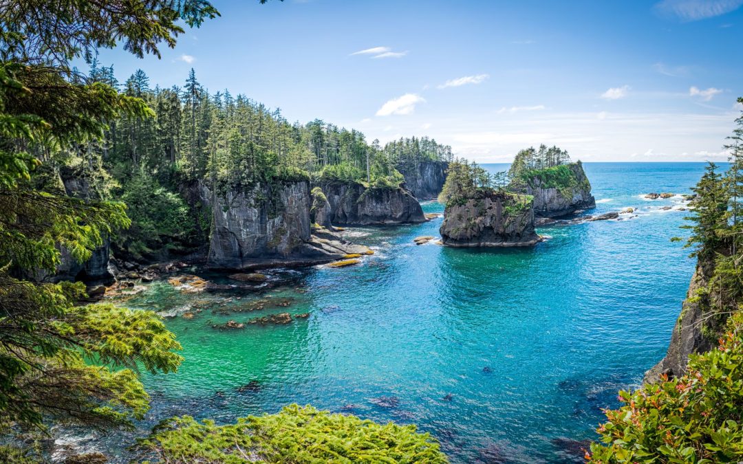 Off the Beaten Path: Cape Flattery on the Olympic Peninsula