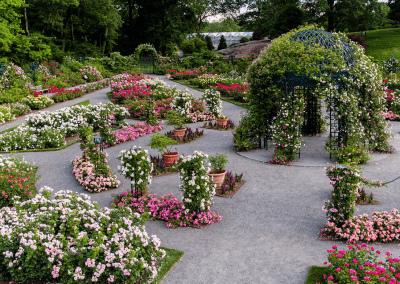 What’s New at the Garden: The New York Botanical Garden is Now Open!