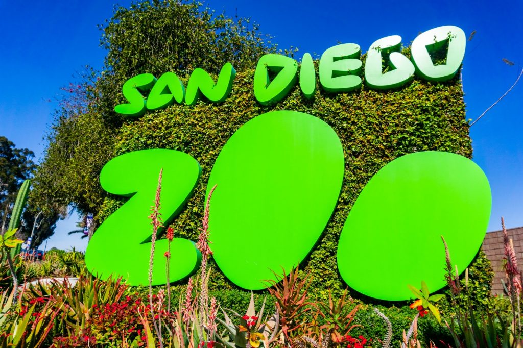 San Diego Zoo 1024x682 