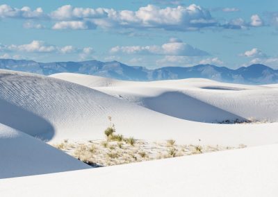 Explore the Dunefields at White Sands National Park